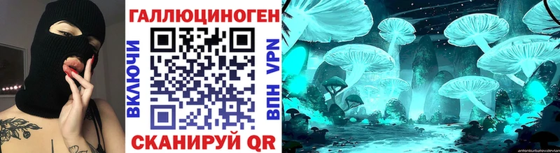 Галлюциногенные грибы Psilocybine cubensis Ядрин
