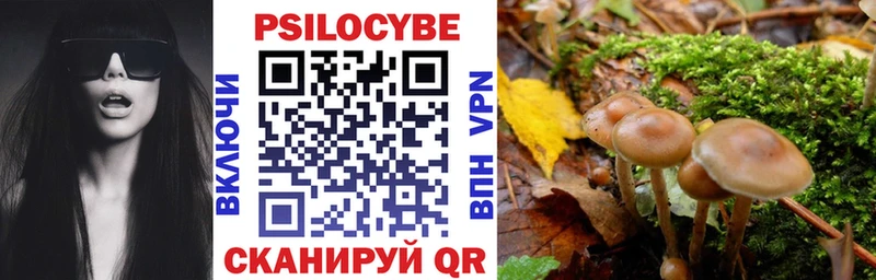 Галлюциногенные грибы Magic Shrooms  это формула  Ядрин 